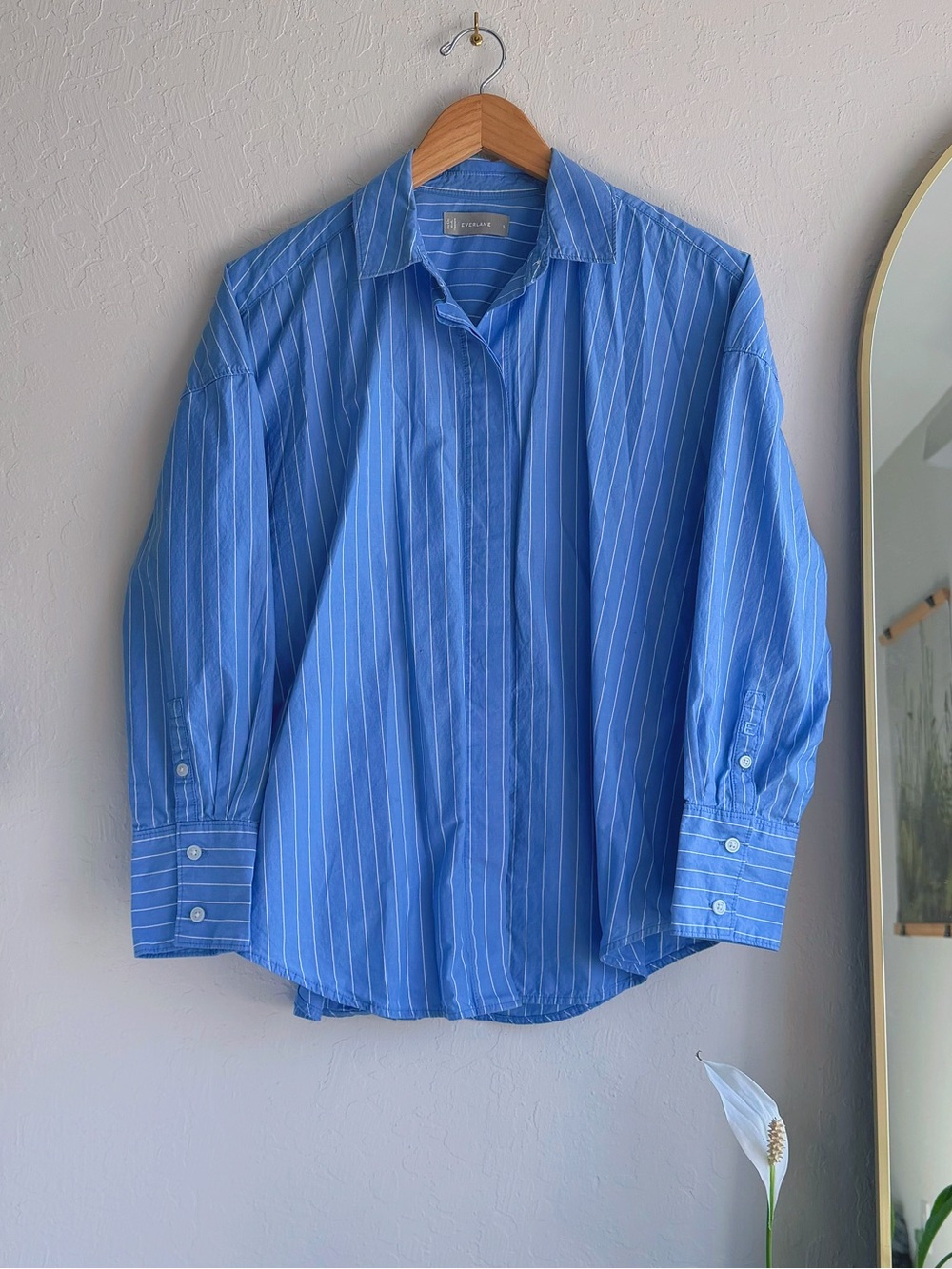 Everlane Blue Striped Button-Up Shirt